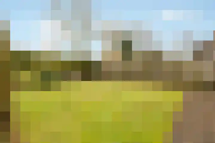 Barend Kuisstraat 4 Nijkerk thumbnail 27