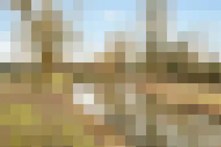 Barend Kuisstraat 4 Nijkerk thumbnail 30