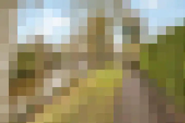 Barend Kuisstraat 4 Nijkerk thumbnail 31