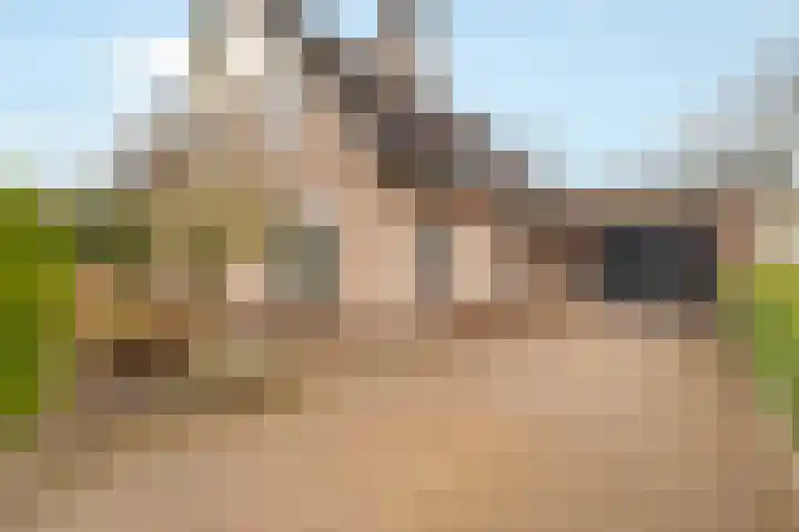 Barend Kuisstraat 4 Nijkerk thumbnail 7