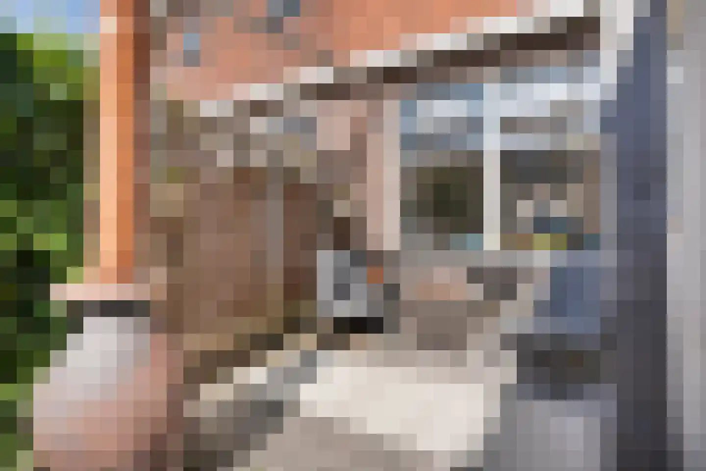 Barend Schuurmanstraat 14 Meppel thumbnail 33