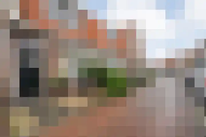 Barend Schuurmanstraat 15 Meppel thumbnail 31