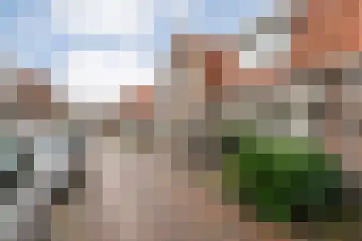 Barend Schuurmanstraat 15 Meppel thumbnail 32