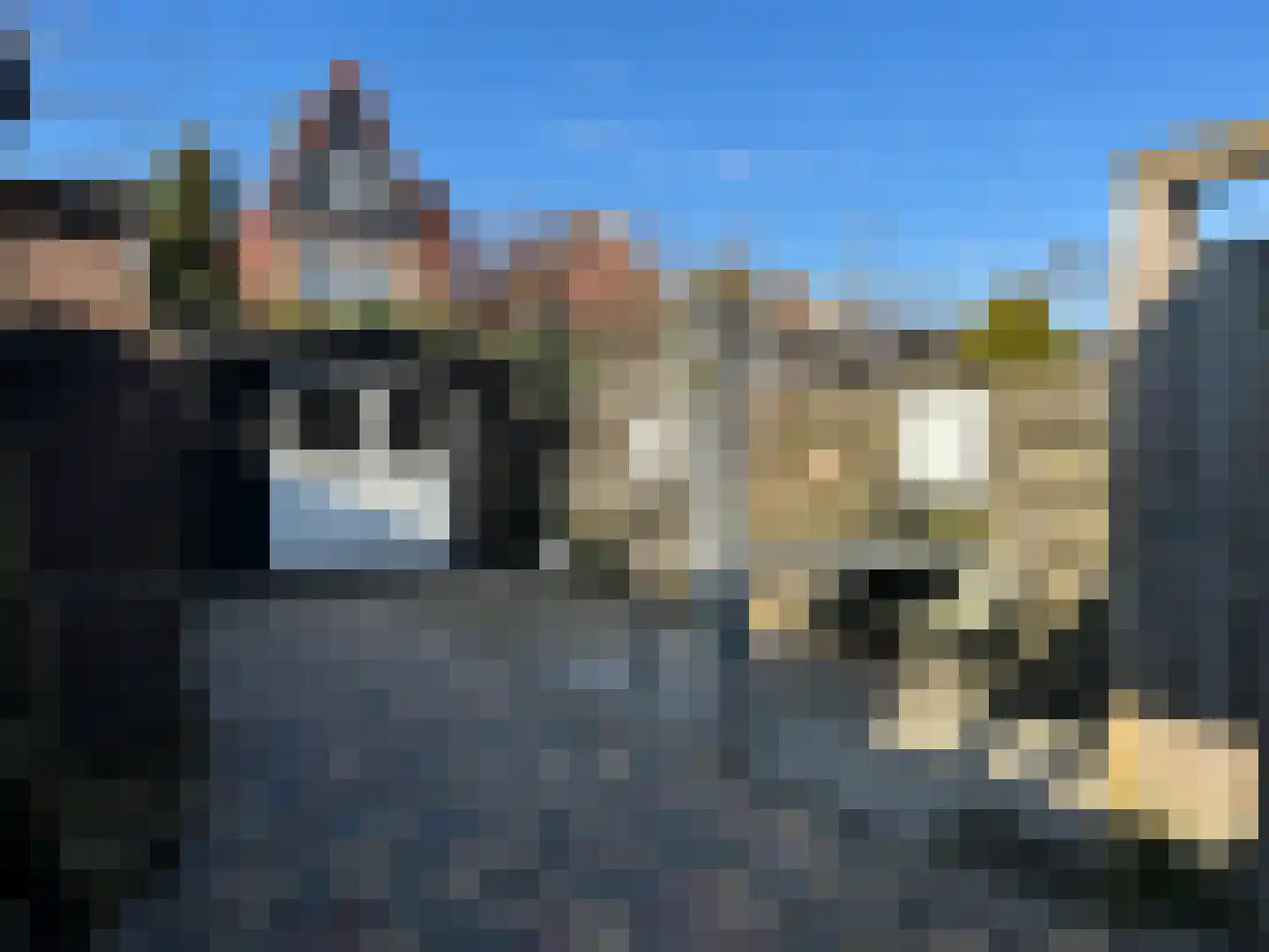 Barend Schuurmanstraat 5 Meppel thumbnail 23