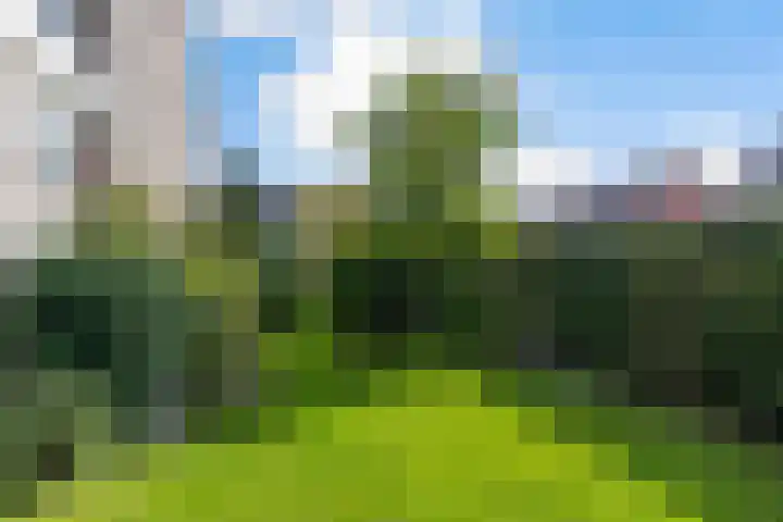 Barend van der Veenwei 20 Leeuwarden thumbnail 10