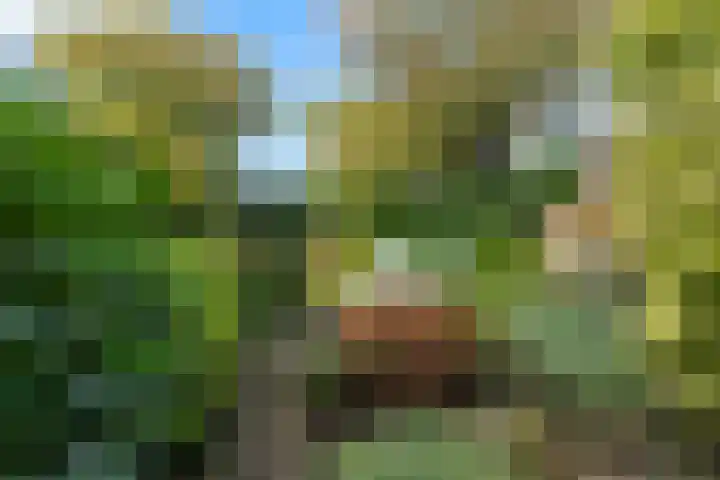 Barend van der Veenwei 20 Leeuwarden thumbnail 11