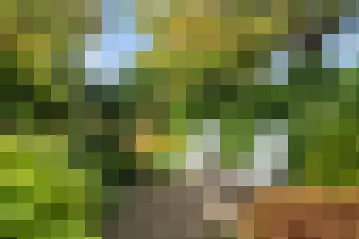 Barend van der Veenwei 20 Leeuwarden thumbnail 12