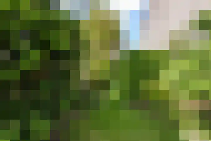 Barend van der Veenwei 20 Leeuwarden thumbnail 13
