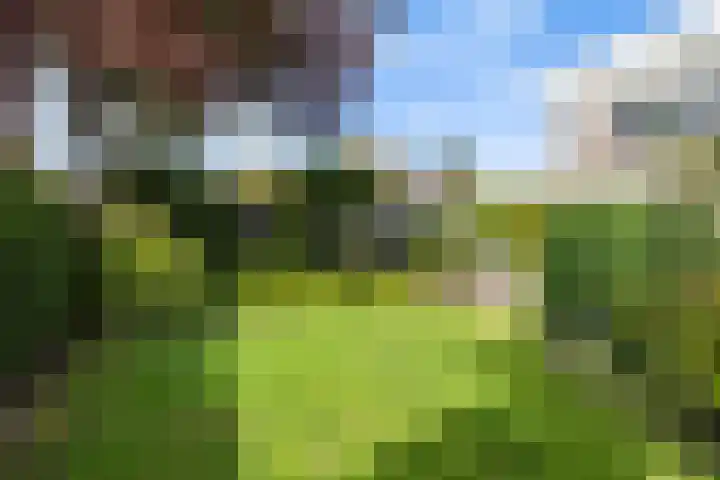 Barend van der Veenwei 20 Leeuwarden thumbnail 14