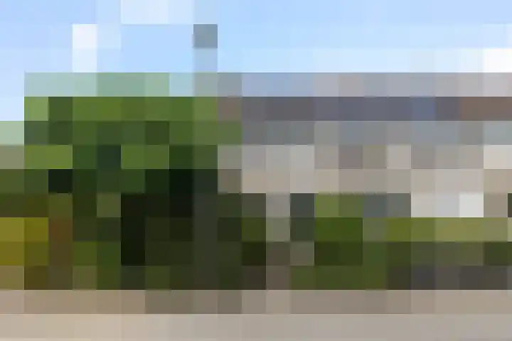 Barend van der Veenwei 20 Leeuwarden thumbnail 17