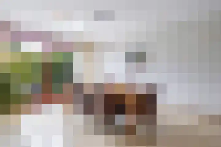 Barend van der Veenwei 20 Leeuwarden thumbnail 26