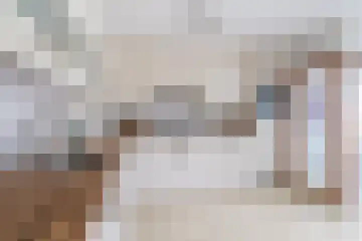 Barend van der Veenwei 20 Leeuwarden thumbnail 28
