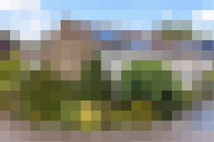 Barend van der Veenwei 20 Leeuwarden thumbnail 46