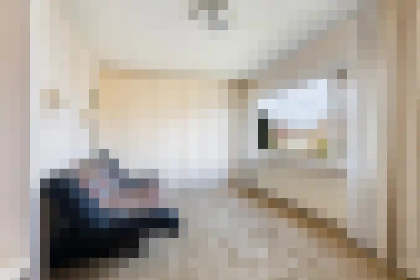 Barend van der Veenwei 40 Leeuwarden thumbnail 19