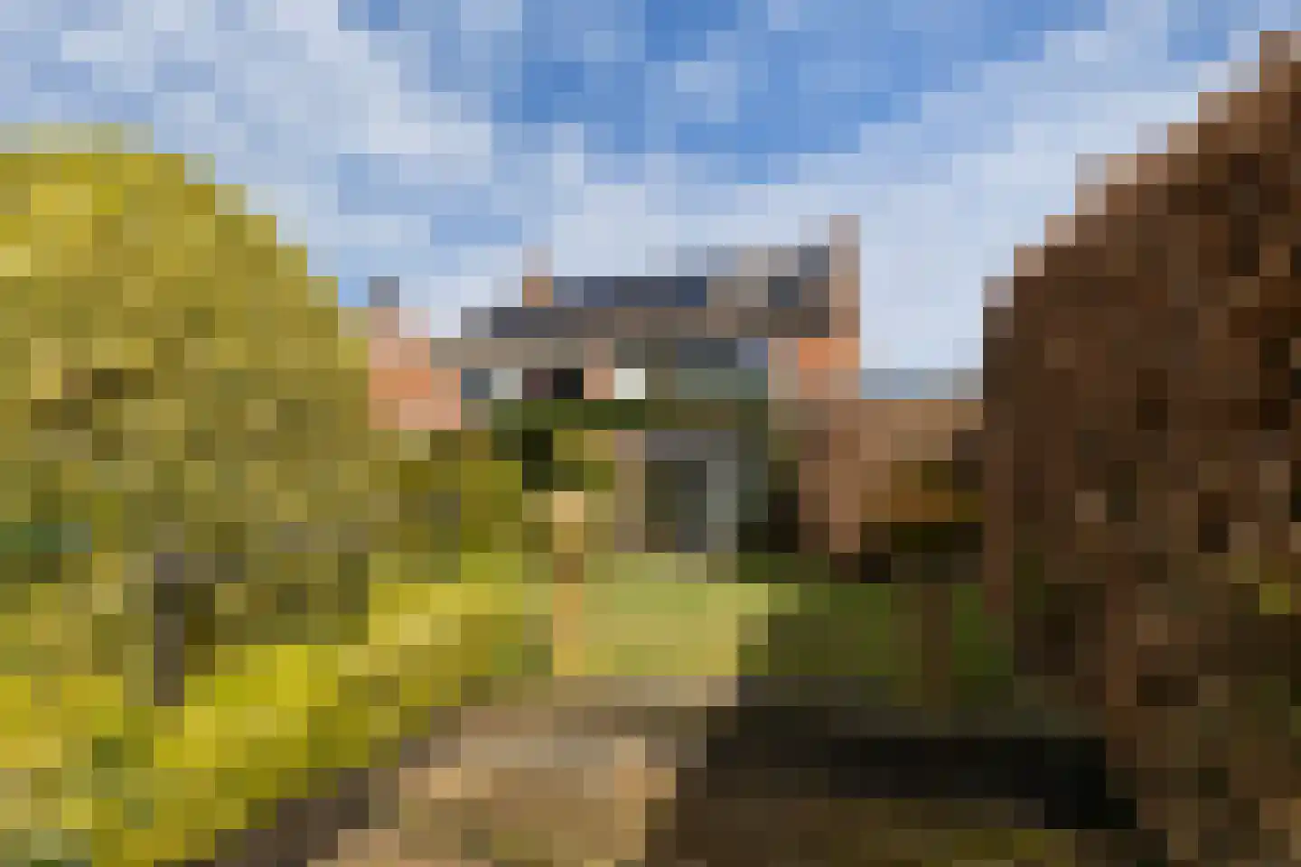 Barend van der Veenwei 40 Leeuwarden thumbnail 26