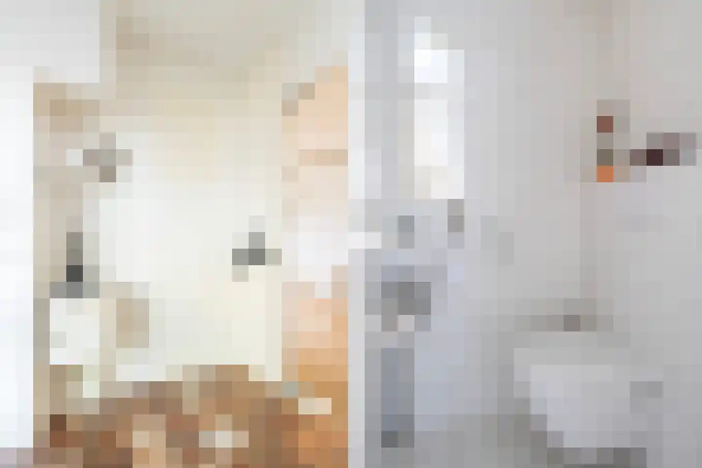 Barend van der Veenwei 40 Leeuwarden thumbnail 7