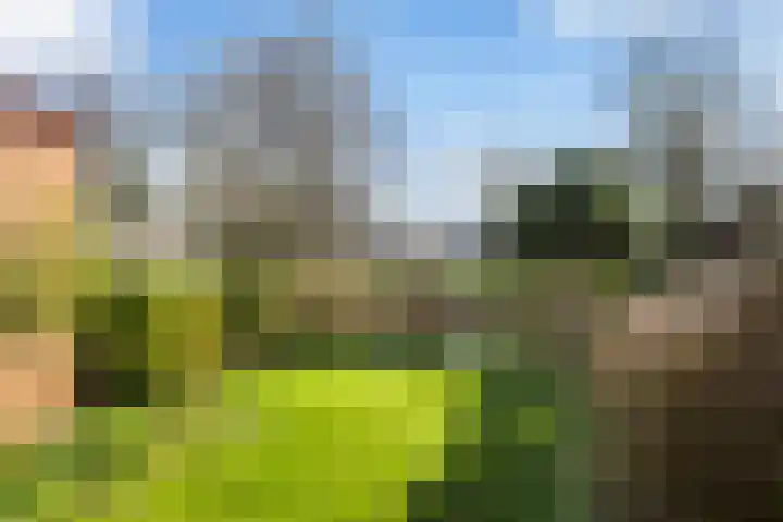 Barend van der Veenwei 44 Leeuwarden thumbnail 11