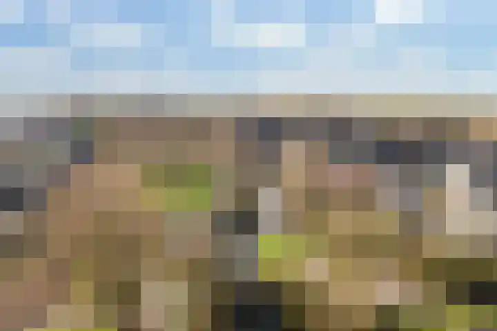 Barend van der Veenwei 44 Leeuwarden thumbnail 13