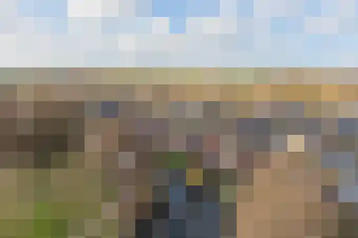 Barend van der Veenwei 44 Leeuwarden thumbnail 14