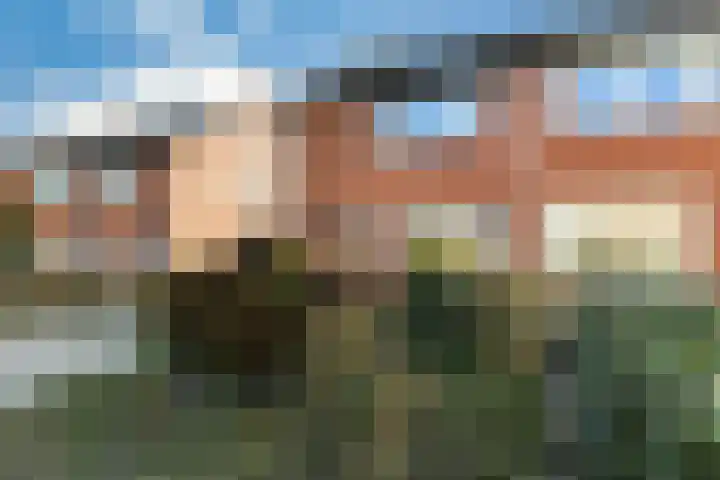 Barend van der Veenwei 44 Leeuwarden thumbnail 15