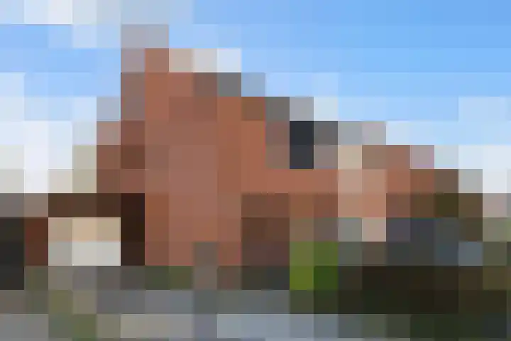 Barend van der Veenwei 44 Leeuwarden thumbnail 17