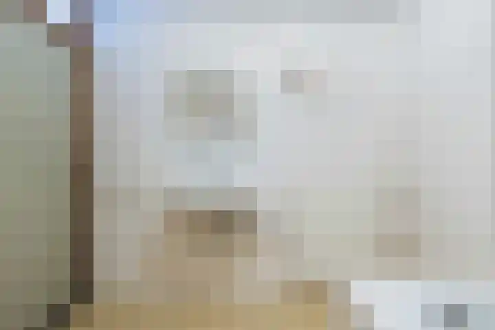 Barend van der Veenwei 44 Leeuwarden thumbnail 37