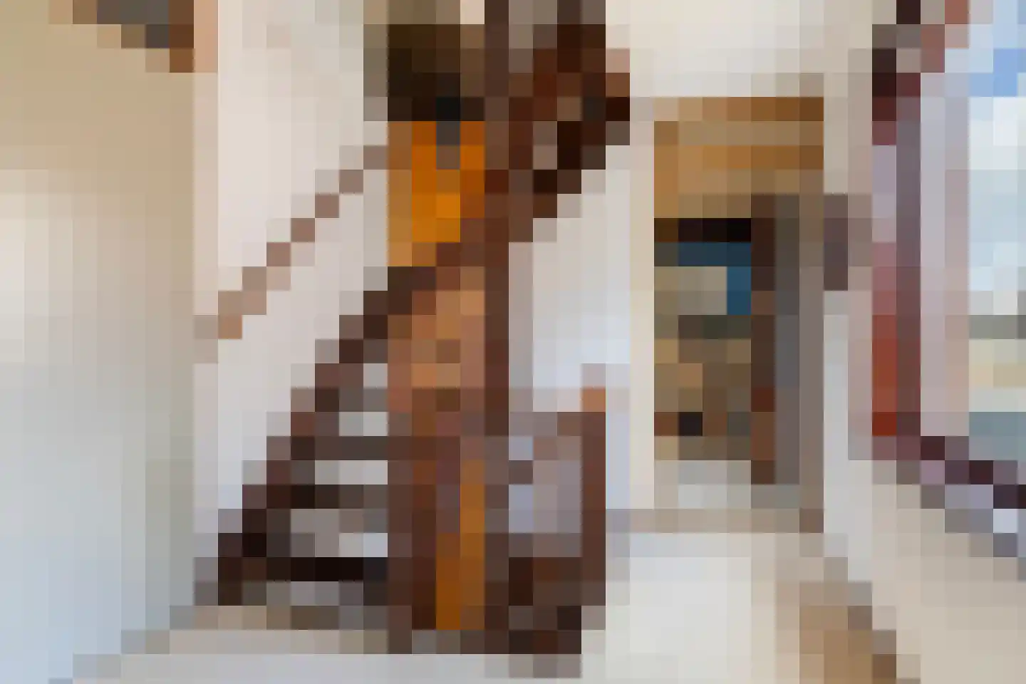 Barend van der Veenwei 44 Leeuwarden thumbnail 39