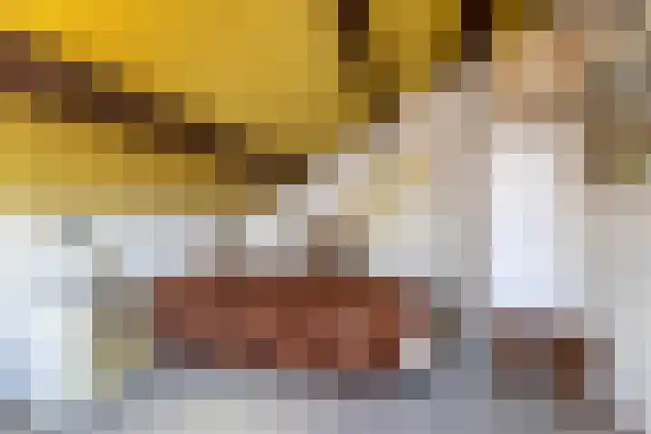 Barend van der Veenwei 44 Leeuwarden thumbnail 41