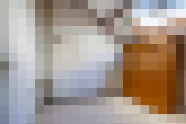 Barend van der Veenwei 44 Leeuwarden thumbnail 43