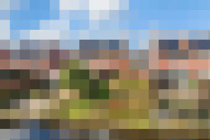 Barend van der Veenwei 44 Leeuwarden thumbnail 5