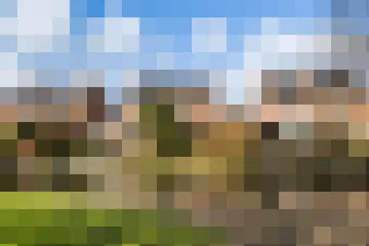 Barend van der Veenwei 44 Leeuwarden thumbnail 8
