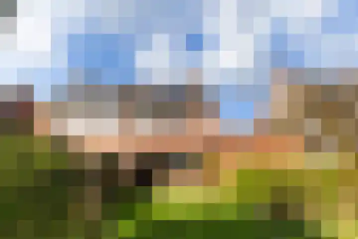 Barend van der Veenwei 44 Leeuwarden thumbnail 9