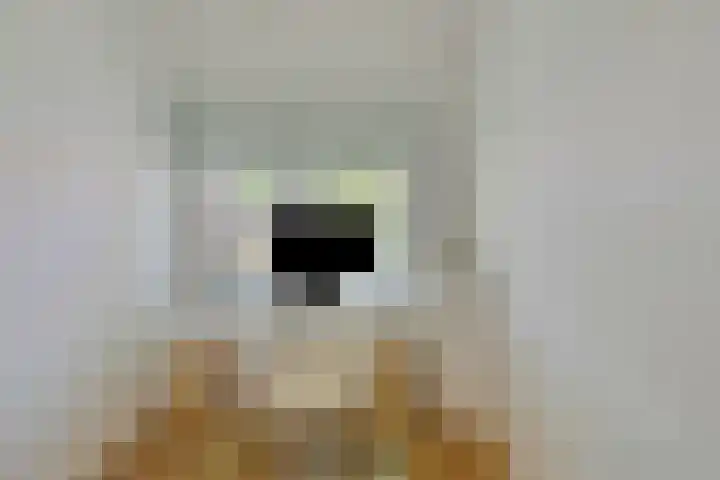 Barend van Dorenweerdelaan 17 Amstelveen thumbnail 21