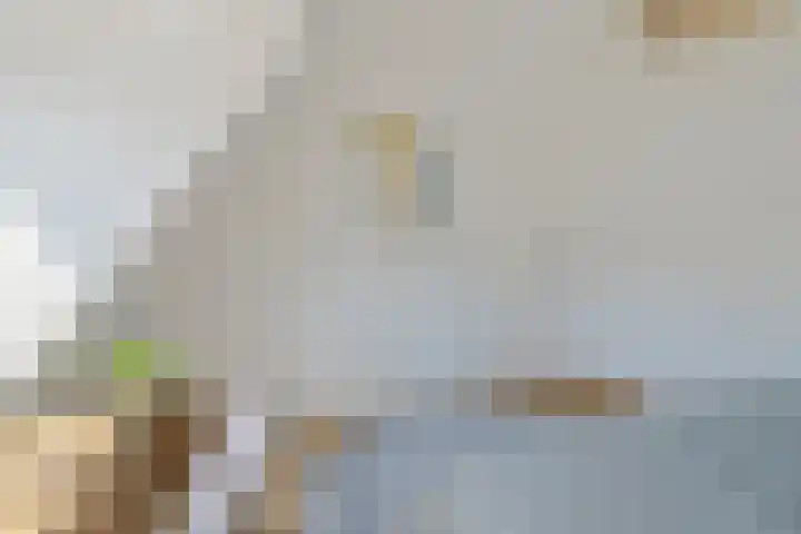 Barend van Dorenweerdelaan 17 Amstelveen thumbnail 26