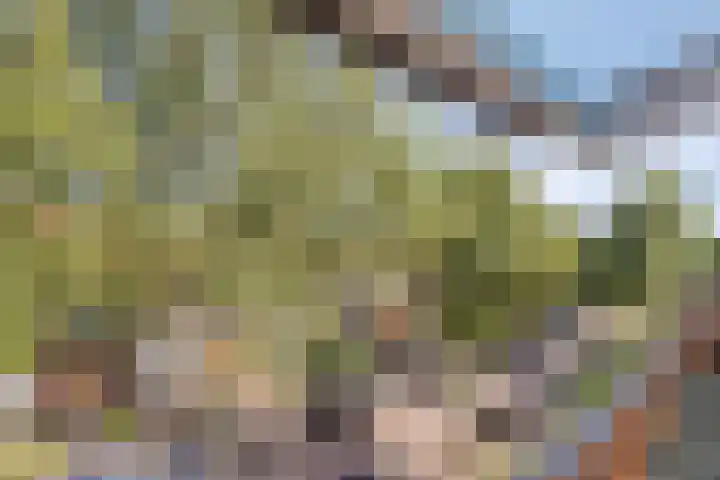 Barend van Dorenweerdelaan 17 Amstelveen thumbnail 29