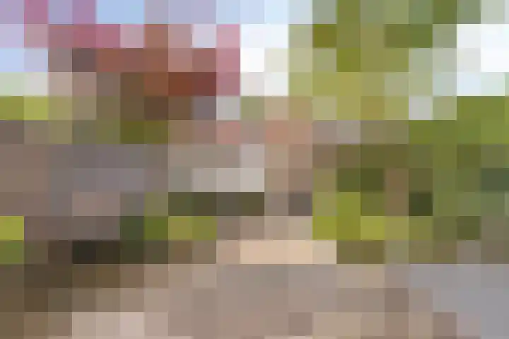 Barend van Dorenweerdelaan 17 Amstelveen thumbnail 31