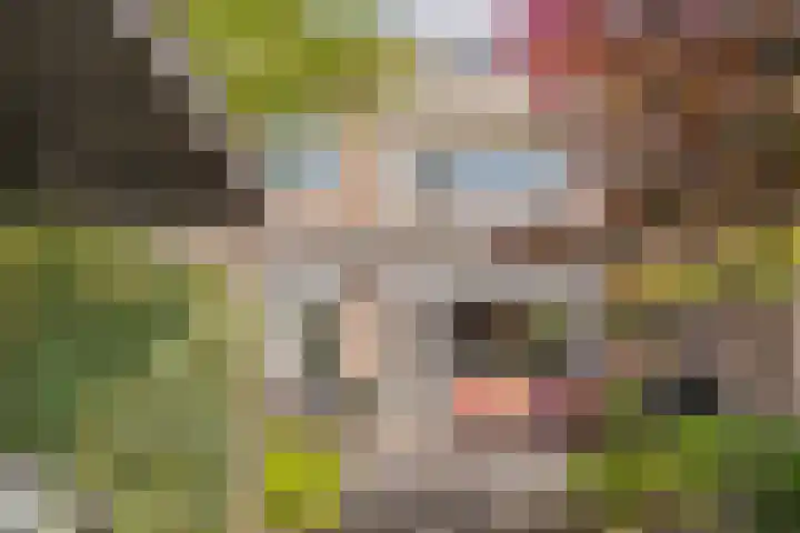 Barend van Dorenweerdelaan 17 Amstelveen thumbnail 34