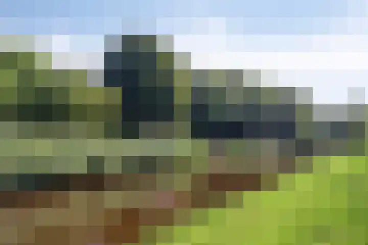 Barend van Dorenweerdelaan 17 Amstelveen thumbnail 39