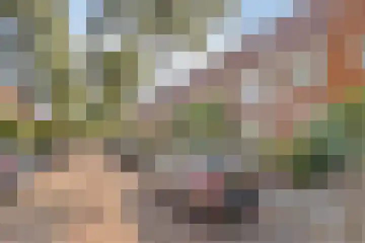 Barend van Dorenweerdelaan 17 Amstelveen thumbnail 54