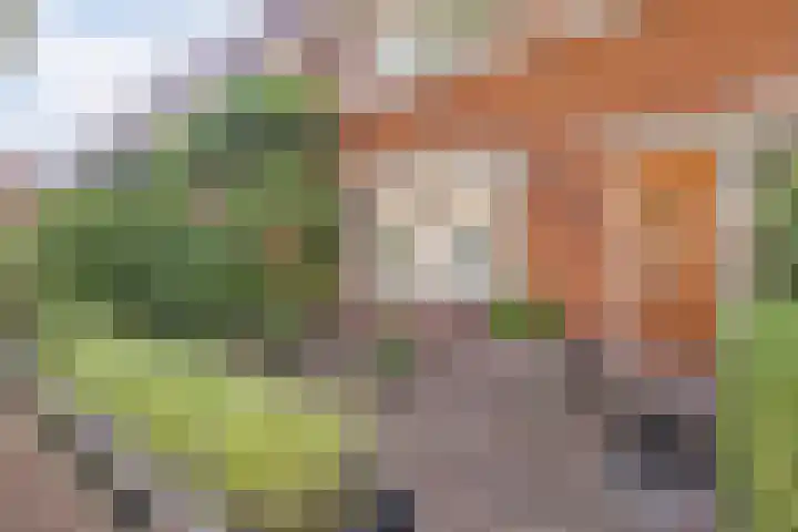 Barend van Dorenweerdelaan 17 Amstelveen thumbnail 8
