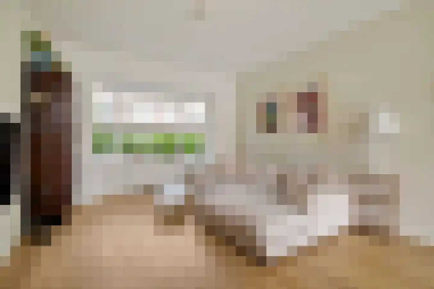 Barend van Dorenweerdelaan 8 Amstelveen thumbnail 11