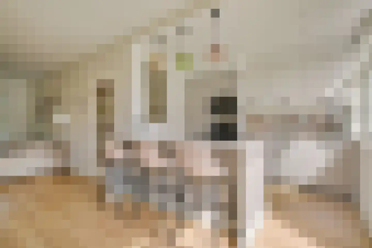 Barend van Dorenweerdelaan 8 Amstelveen thumbnail 7