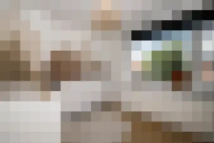 Barend van Hoeffstraat 10 Schoonhoven thumbnail 22