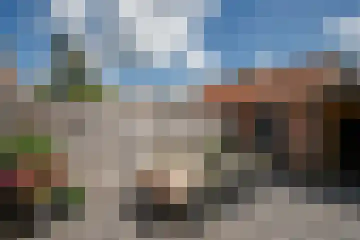 Barend van Hoeffstraat 10 Schoonhoven thumbnail 28