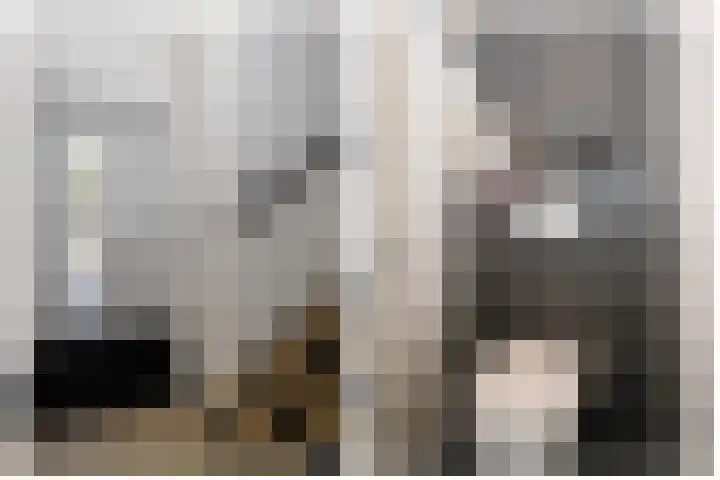 Barend van Hoeffstraat 10 Schoonhoven thumbnail 8