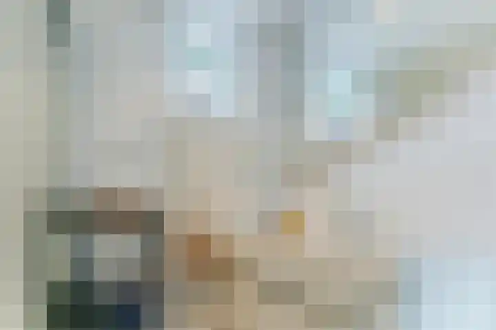 Barend van Hoeffstraat 8 Schoonhoven thumbnail 26