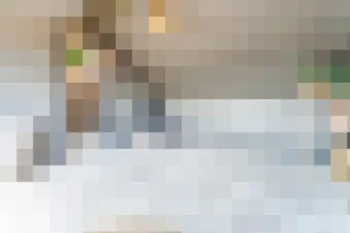 Barend van Hoeffstraat 8 Schoonhoven thumbnail 33