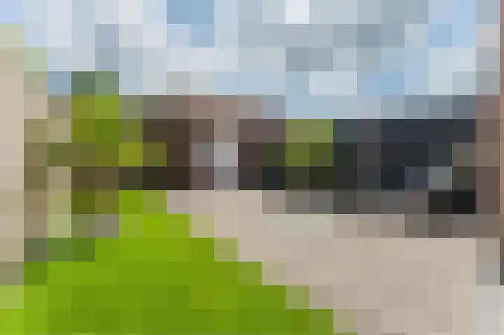 Barend van Hoeffstraat 8 Schoonhoven thumbnail 37