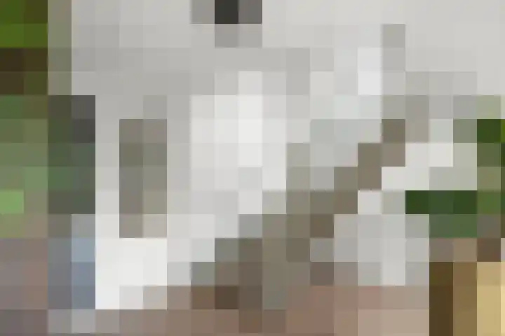 Barend Veenendaalstraat 12 Ede thumbnail 11