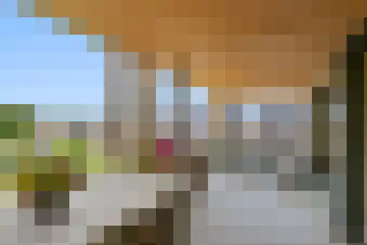 Barend Veenendaalstraat 12 Ede thumbnail 34